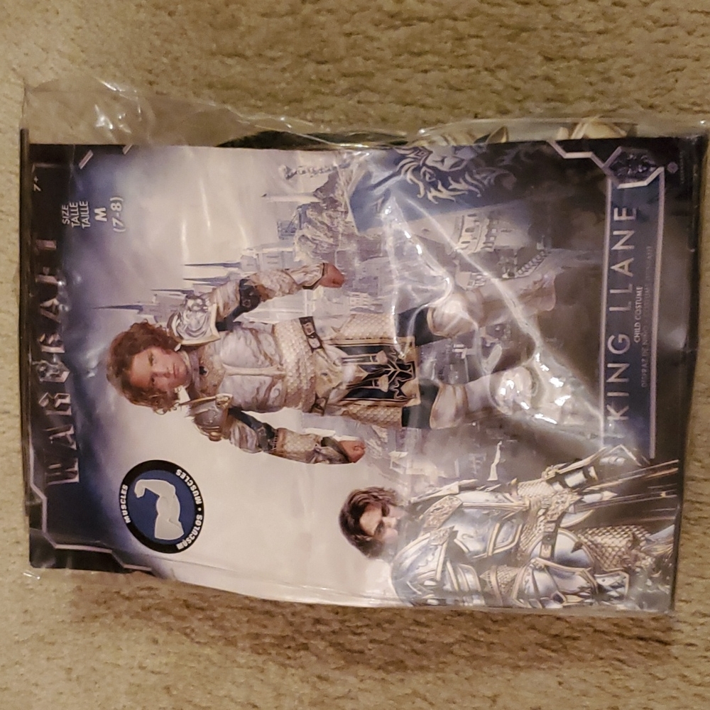 Boys "Warcraft (King Llanne)" Costume - Picture 3 of 5